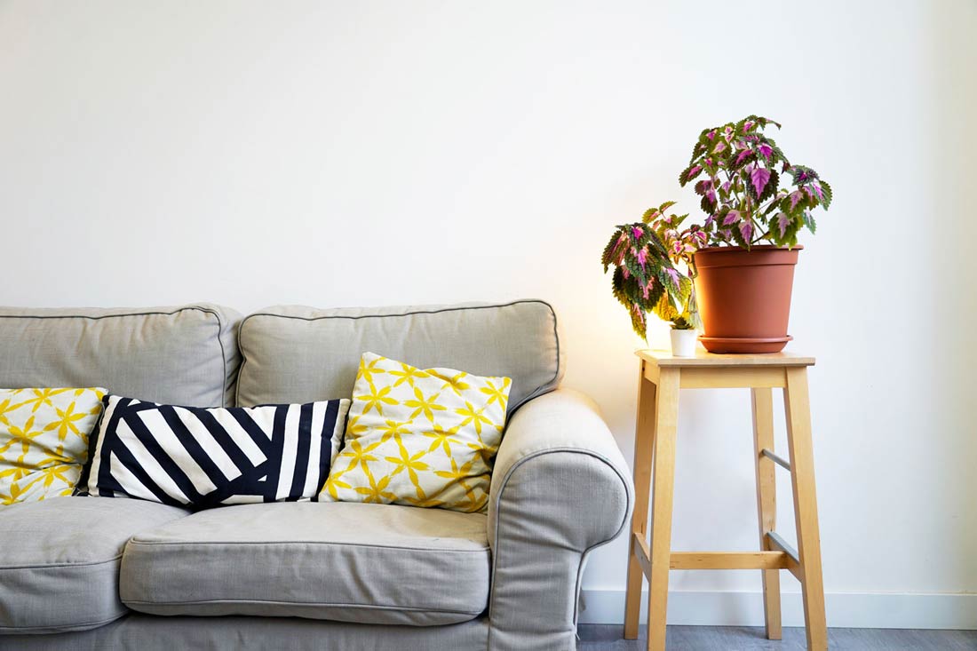 intervencion familiar